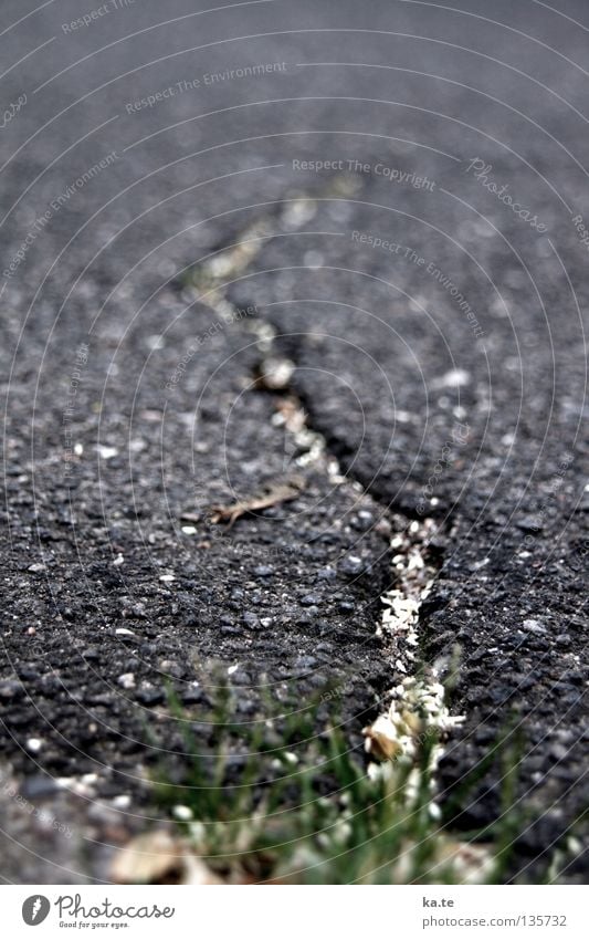 Aufbruch Teer Asphalt kaputt Riss schwarz grau Gras Straßenrand Bordsteinkante Furche Straßenbau Baustelle Grenze tief Vergänglichkeit Durchbruch Neuanfang