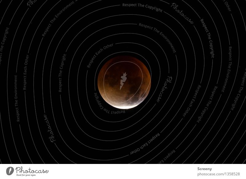 Lunar eclipse Natur Himmel Nachthimmel Mond Mondfinsternis Vollmond rund einzigartig Weltall Korona Farbfoto Außenaufnahme Menschenleer Lichterscheinung Totale