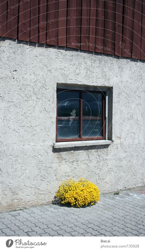 Ferien am Einödhof Haus Pflanze Menschenleer Gebäude Fassade Fenster Holz einfach trist gelb grau Farbe Symmetrie Überleben Bauernhof Stall arrangiert Wand