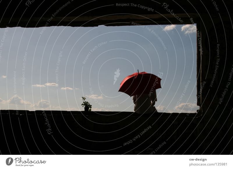 AM FENSTER pt.IV Fenster Wolken Blume Pflanze Blumentopf Topfpflanze Stil Lifestyle Leben live dunkel schwarz weiß mehrfarbig Sonnenstrahlen Lichteinfall Beton