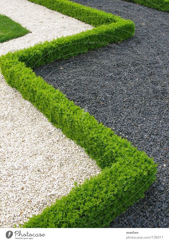 Grenzen Garten Park grau grün weiß Kies Hecke Ecke Buxbaum Zickzack Außenaufnahme