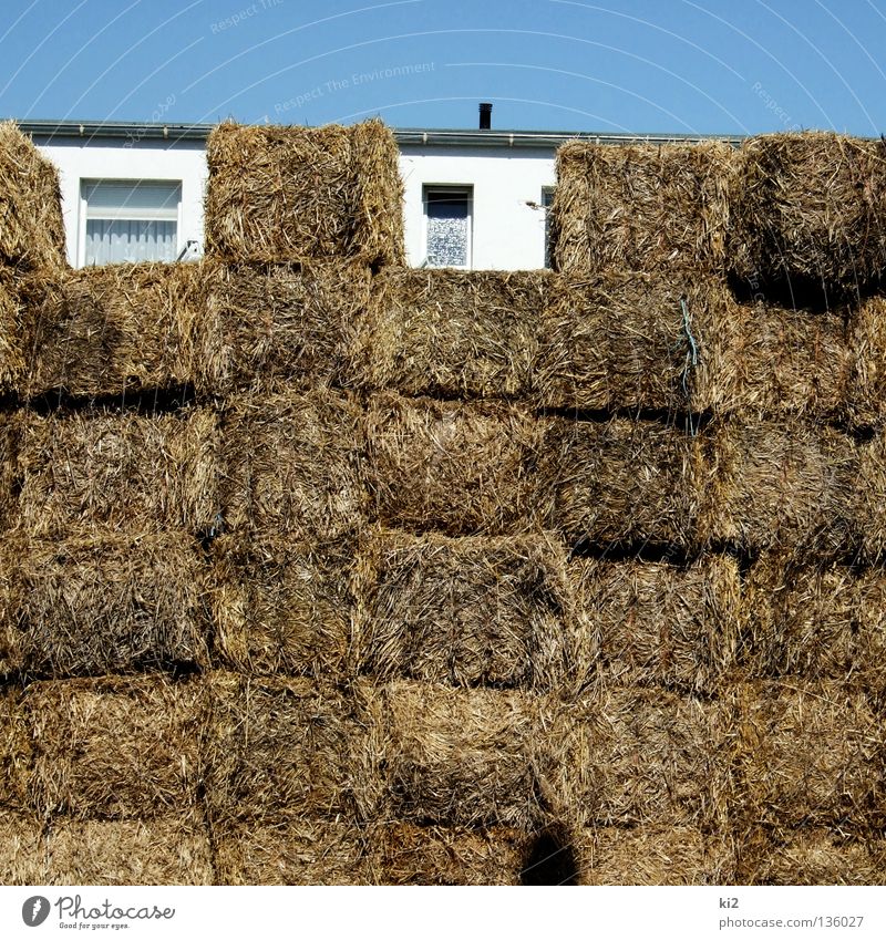 strohhütte Stroh Haus Halm Geborgenheit Barrikade Fenster leer Sommer verstecken Lücke