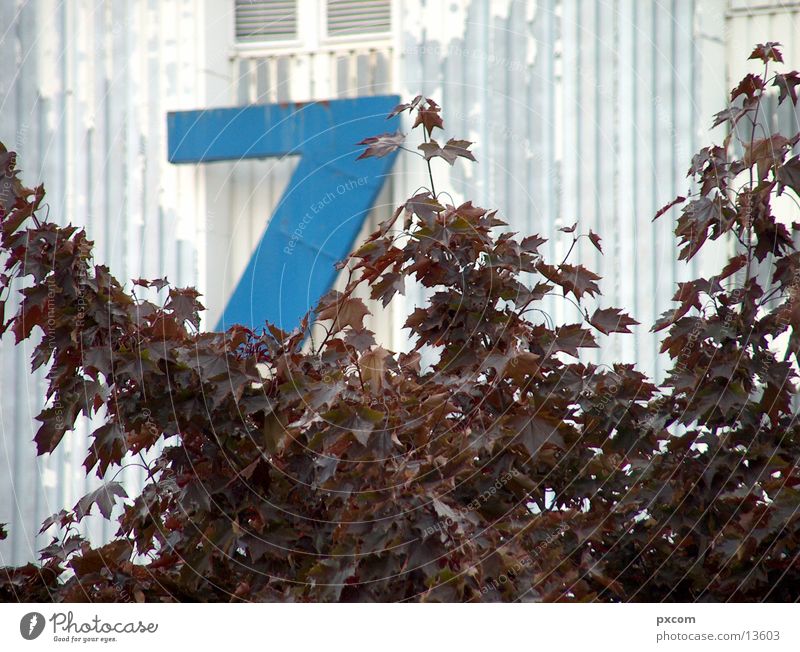 herbst *777 Messehalle Leipzig Herbst Blatt Herbstlaub Alte Messe blau