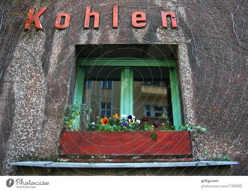 Koh|le [f.]: [meist Pl.; ugs.] Geld; die ~n verdienen; K. machen einbringen Arbeit & Erwerbstätigkeit heizen Haus Fenster Blume Blumenkasten Aufschrift