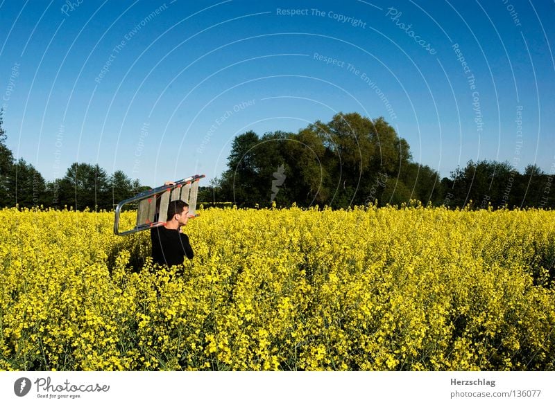 Richtung Baustelle Feld gelb Bauarbeiter Raps dreckig Schaufel Eimer Mann Leiter Stein silber Metall Sand Geruch leuchten