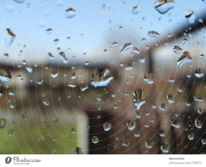 water on the glass Zoomeffekt Glass Wasser Natur