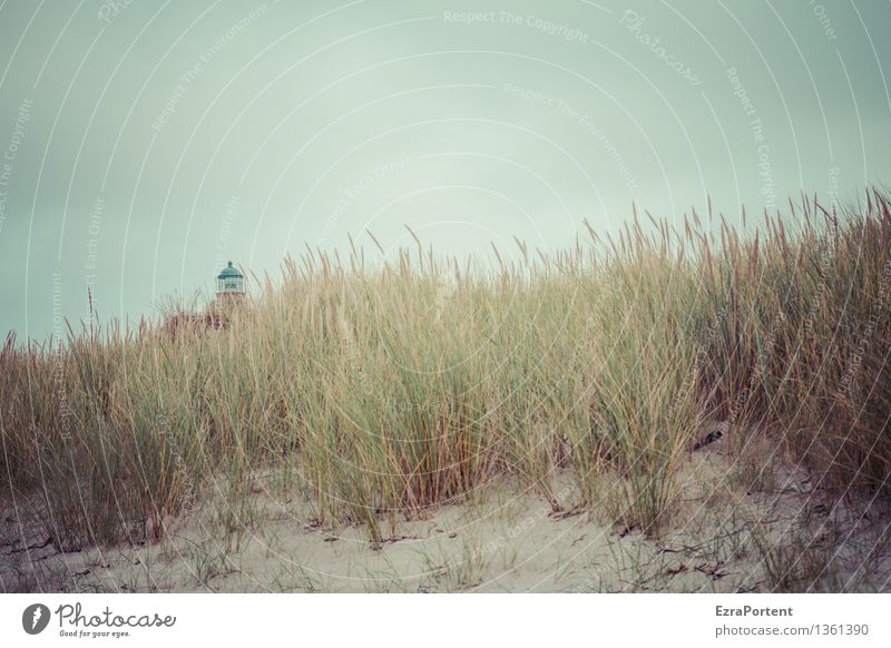 lütt Ferien & Urlaub & Reisen Tourismus Ausflug Umwelt Natur Landschaft Himmel Herbst Klima Klimawandel Wetter Pflanze Gras Küste Strand Ostsee Leuchtturm