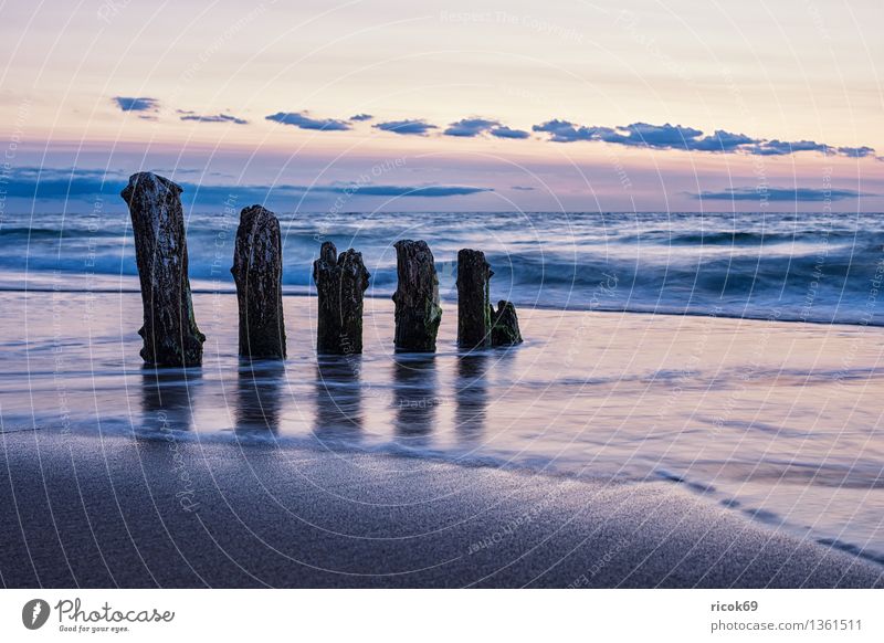 Ostseeküste Erholung Ferien & Urlaub & Reisen Sonne Strand Meer Natur Landschaft Wasser Wolken Küste alt Romantik Idylle ruhig Tourismus Buhne Himmel