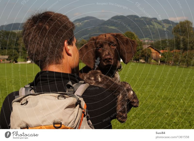 Rücksicht Mensch maskulin Hinterkopf 1 30-45 Jahre Erwachsene Baum Gras Wiese Alpenvorland Rucksack kurzhaarig Haustier Hund Tiergesicht Jagdhund Tierjunges