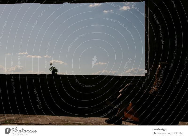 AM FENSTER pt.V Fenster Wolken Blume Pflanze Blumentopf Topfpflanze Stil Lifestyle Leben live dunkel schwarz weiß mehrfarbig Sonnenstrahlen Lichteinfall Beton