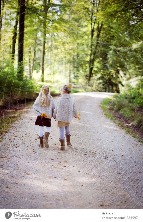 Herbstspaziergang Mensch feminin Kind Mädchen Geschwister Schwester Familie & Verwandtschaft Kindheit 2 3-8 Jahre Umwelt Natur Landschaft Schönes Wetter Wald