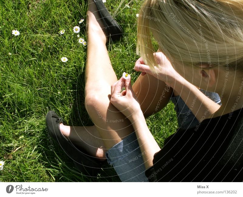 Auch ein Gänseblümchen lügt manchmal Farbfoto Außenaufnahme Frau Erwachsene Beine Frühling Blume Gras Blüte Wiese blond Denken träumen warten grün Liebeskummer