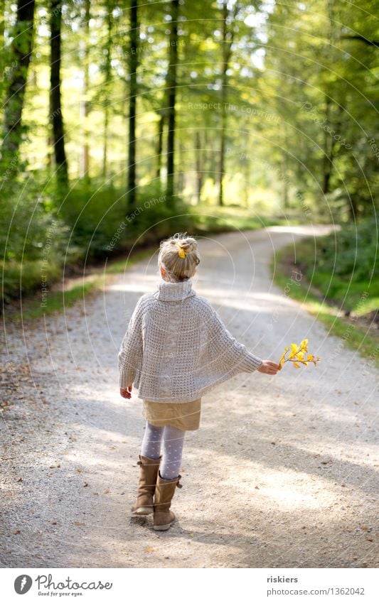 Herbstkind Mensch feminin Kind Mädchen Kindheit 3-8 Jahre Umwelt Natur Pflanze Schönes Wetter Wald Erholung gehen wandern Freundlichkeit Fröhlichkeit natürlich