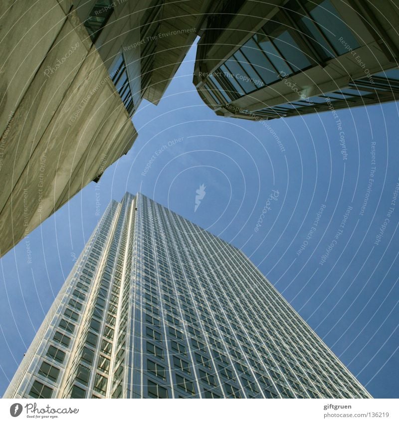 urban view Hochhaus Stadt Haus Fassade Fenster modern Himmel aufwärts oben hoch Blick großstädtisch Straße