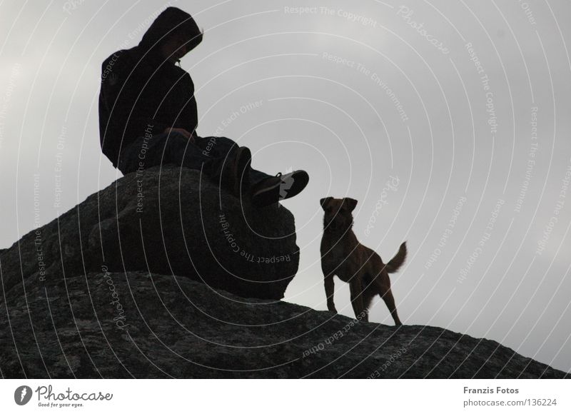 Treue Hund Denken Silhouette Ferien & Urlaub & Reisen Ferne Vertrauen Schatten Schwarzweißfoto Aussicht