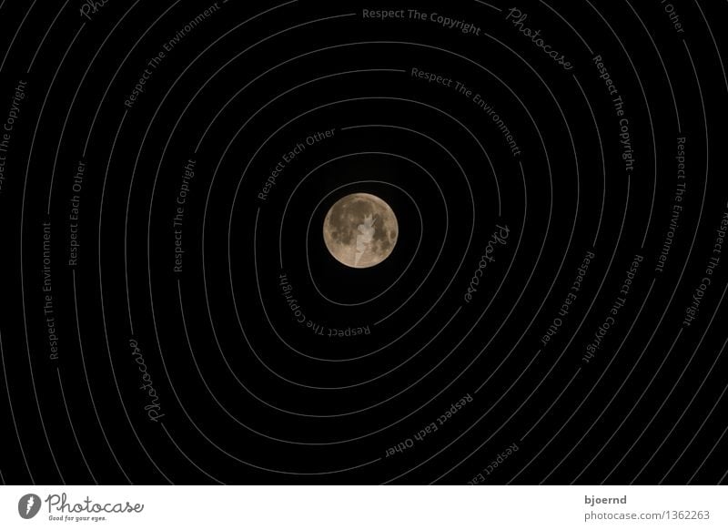 Mond über Kiel Himmel nur Himmel Wolkenloser Himmel Nachthimmel Vollmond grau schwarz weiß Einigkeit Sorge Sehnsucht Angst Gedeckte Farben Außenaufnahme