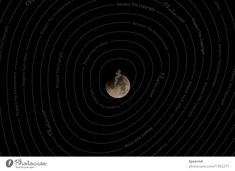 Mondfinsternis über Kiel Himmel nur Himmel Wolkenloser Himmel Nachthimmel Vollmond grau schwarz weiß Einigkeit Sorge Sehnsucht Angst Gedeckte Farben