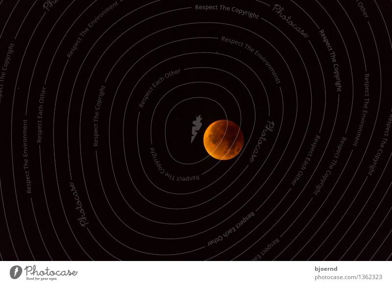 Blutmond über Kiel Himmel nur Himmel Wolkenloser Himmel Nachthimmel Mond Mondfinsternis Vollmond Herbst braun rot schwarz Einigkeit Sorge Sehnsucht Angst