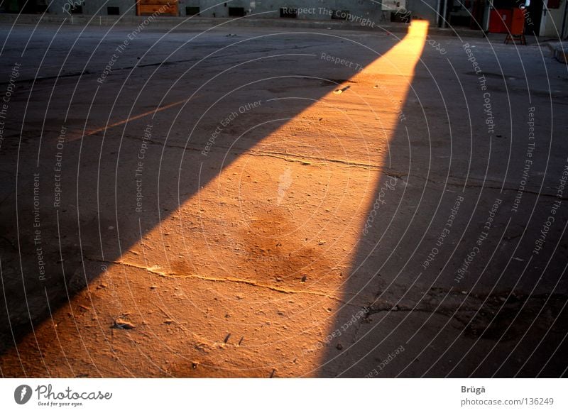 Der orange-goldene Teppich Abendsonne Sonnenuntergang Himmelskörper & Weltall Schatten Tiefenunschärfe Abenddämmerung