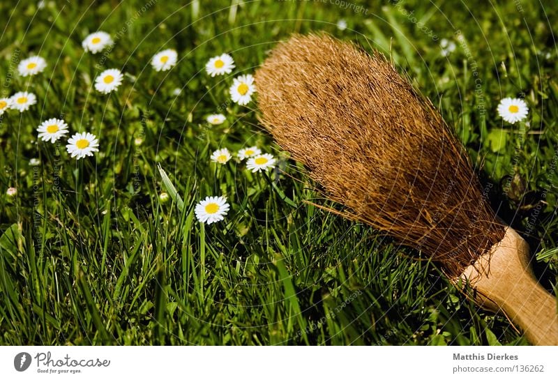 Besen Kehren Reinigen Putz Schatten Selbstportrait Staubwischen Wiese Gänseblümchen Frühjahrsputz Frühling aufräumen Arbeit & Erwerbstätigkeit Ordnung Wischen