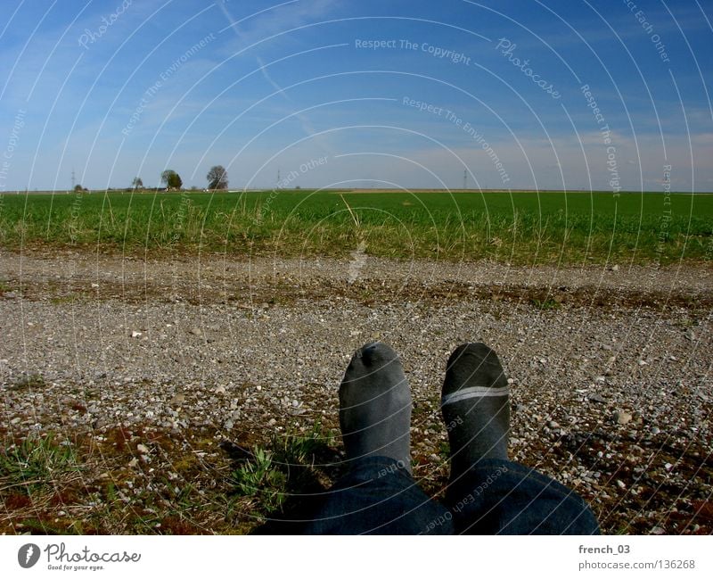 Sockenproblematik II Kondensstreifen Himmel zyan grün Gras Strümpfe Verschiedenheit 2 schwarz Streifen Baum Kies grau Hose dunkel Frühling Sommer Pause lüften