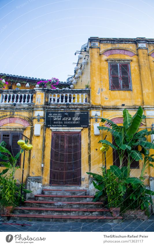 A house in the middle of the Street Fischerdorf Kleinstadt Haus blau braun gelb gold grau grün weiß Vietnam Hoi An Palme Eingang Tür Fensterladen Dachterrasse