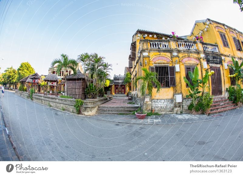 hoi an - Fischeye Dorf Fischerdorf Haus blau braun mehrfarbig gelb gold rot schwarz weiß Bauwerk Kunstwerk Fischauge Palme Vietnam Hoi An Reisefotografie