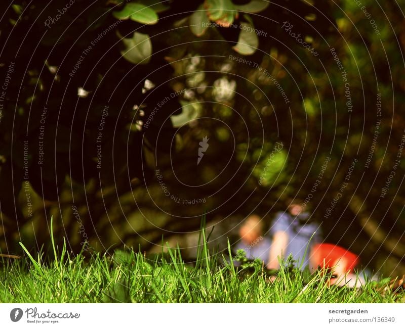 //spannerperspektive// Sommer Frühling dunkel mehrfarbig Gras Sträucher Luke Ferne Idylle Picknick heiß Freundschaft Freizeit & Hobby Sonntag Samstag Wochenende