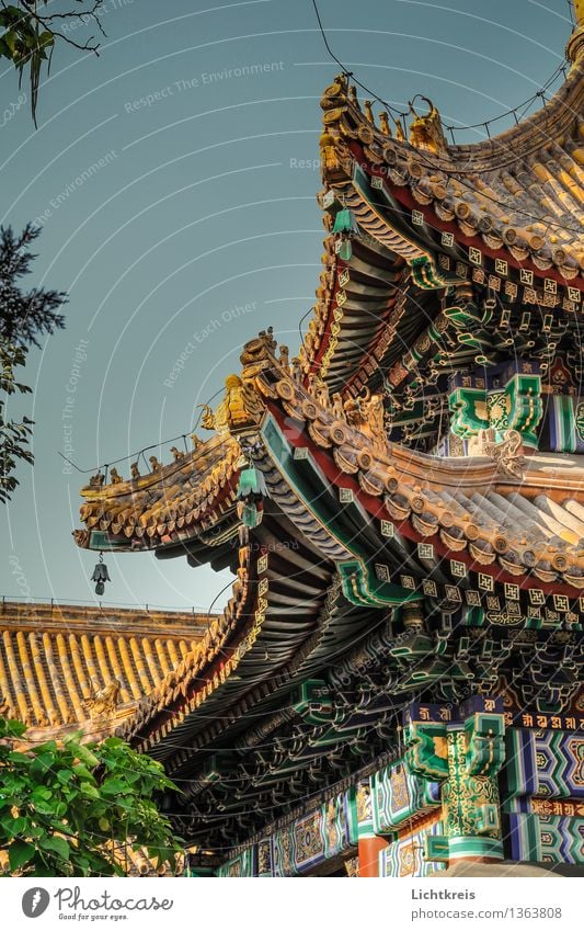 Yonghe-Tempel Dach Wolkenloser Himmel Schönes Wetter Baum Peking China Asien Hauptstadt Altstadt Menschenleer Kirche Palast Bauwerk Gebäude Architektur Fassade