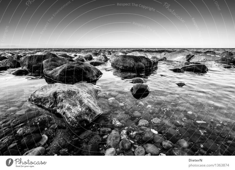 Steinig Wasser Himmel Wolkenloser Himmel Wetter schlechtes Wetter Küste Ostsee Meer grau schwarz weiß Felsen Horizont Schwarzweißfoto Außenaufnahme Menschenleer