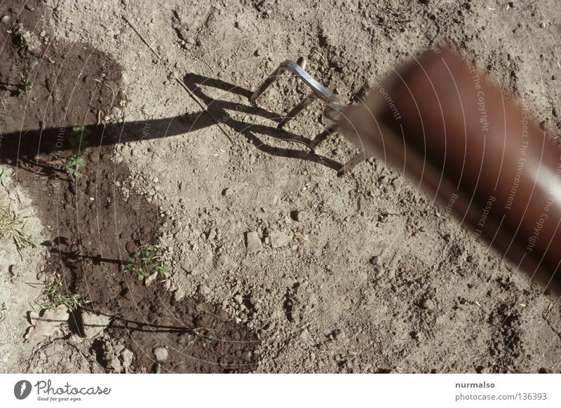 Erdnadel Forke Gabel Graben Gartenarbeit Gärtner ökologisch Sauberkeit Wurm Wohnung Düngung Eisen Muskulatur Obstbau Naturgarten Ernährung Erde Spitze Boden