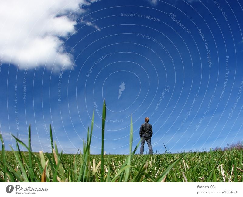 Ausblick im Frühjahr IV Mensch weiß See Denken gesichtslos maskulin Hand zyan Wolken schlechtes Wetter Froschperspektive Gras Wiese grün Halm Stroh stehen