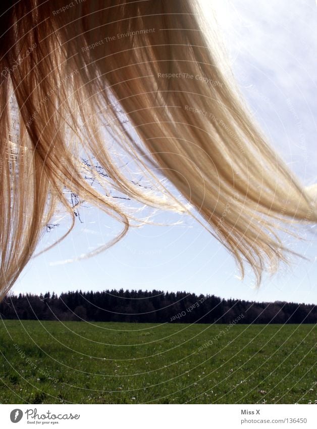 Rapunzel blond grün Gras Wolken Frau Haare & Frisuren Wind Sonnenlicht Sommer langhaarig Waldrand blau Himmel fliegen Landschaft Amerika frei Spliss Haarspliss