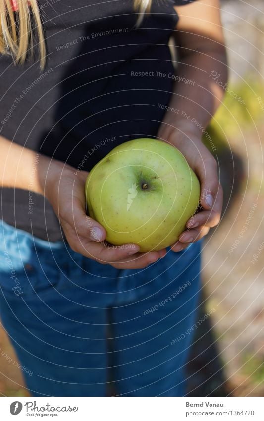 apfel Mensch feminin Kind Mädchen Hand 1 8-13 Jahre Kindheit Natur dankbar Wachstum Apfel Erntedankfest haltend grün T-Shirt Essen Frucht frisch groß Herbst