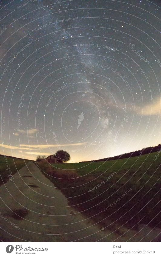 Milchstraße III Natur Landschaft Urelemente Himmel Wolkenloser Himmel Nachthimmel Stern Horizont Wiese Feld dunkel Wege & Pfade Fußweg Milchstrasse Weltall