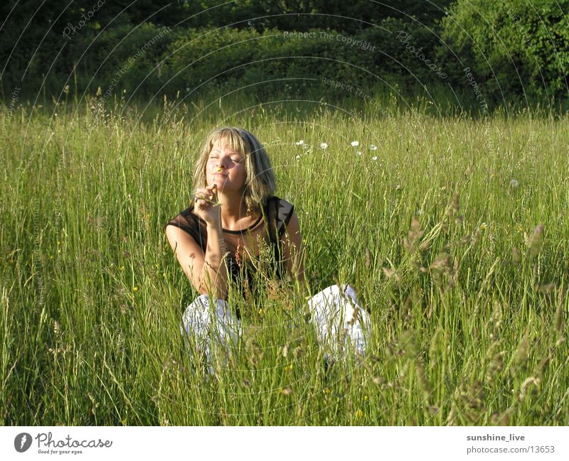 Grasgeflüster_Teil2 Wiese Blume Erholung Sommer Frau Chilling