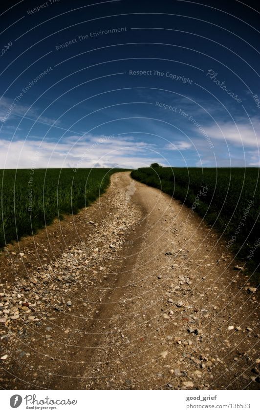 road in the sky Gras Wolken aufwärts Steigung Feld Weizen Wiese grün Frieden Berge u. Gebirge Wege & Pfade Stein Himmel Erde dreckig downhill mointainbike