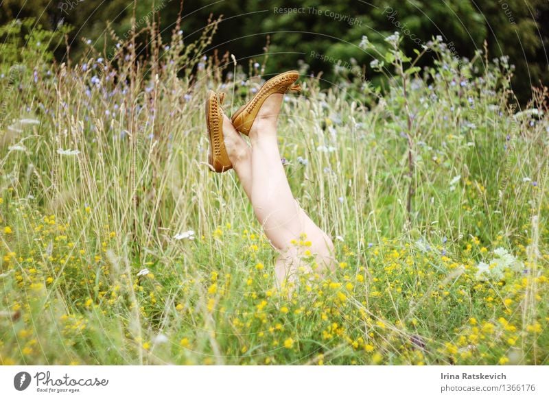 Beine im Sommer Gras Junge Frau Jugendliche 1 Mensch 18-30 Jahre Erwachsene Natur Landschaft Pflanze Schönes Wetter Blume Park Mode Schuhe Hausschuhe niedlich