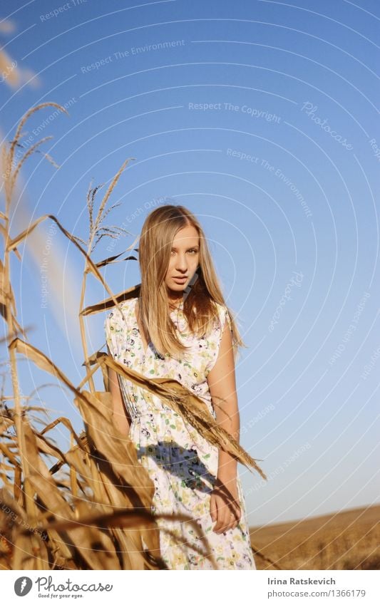 Porträt einer schönen Blondine im Kleid draußen auf dem Feld Junge Frau Jugendliche Körper Haare & Frisuren 1 Mensch 18-30 Jahre Erwachsene Natur Landschaft