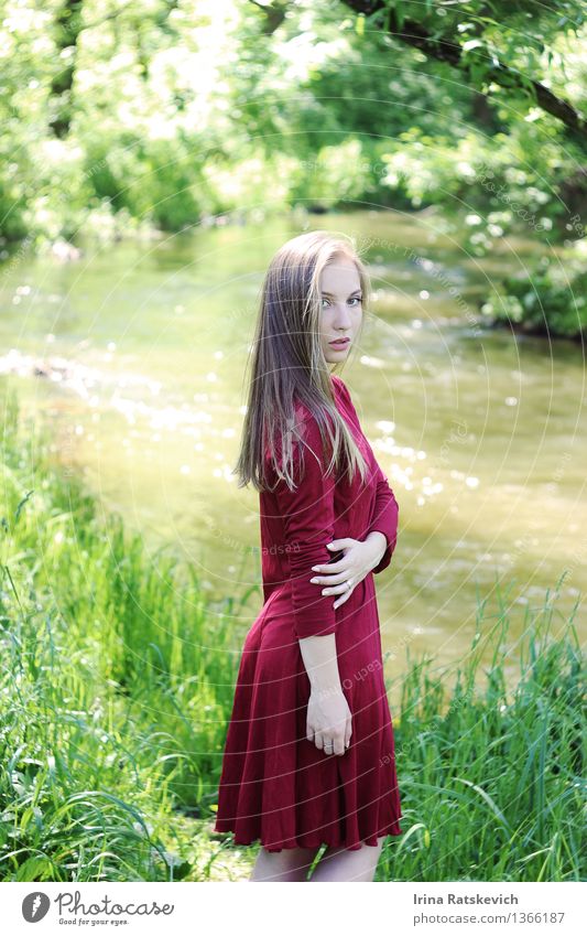 Portrait eines schönen Mädchens im roten Kleid Junge Frau Jugendliche Körper Haut Kopf Haare & Frisuren 1 Mensch 18-30 Jahre Erwachsene Natur Landschaft Sonne