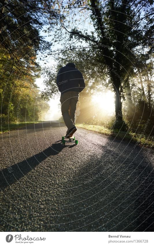 brötchen holen Sport Fitness Sport-Training Mensch maskulin Mann Erwachsene 1 45-60 Jahre Verkehr hell Skateboard schön Herbst Kapuze Asphalt Baum Baumstamm