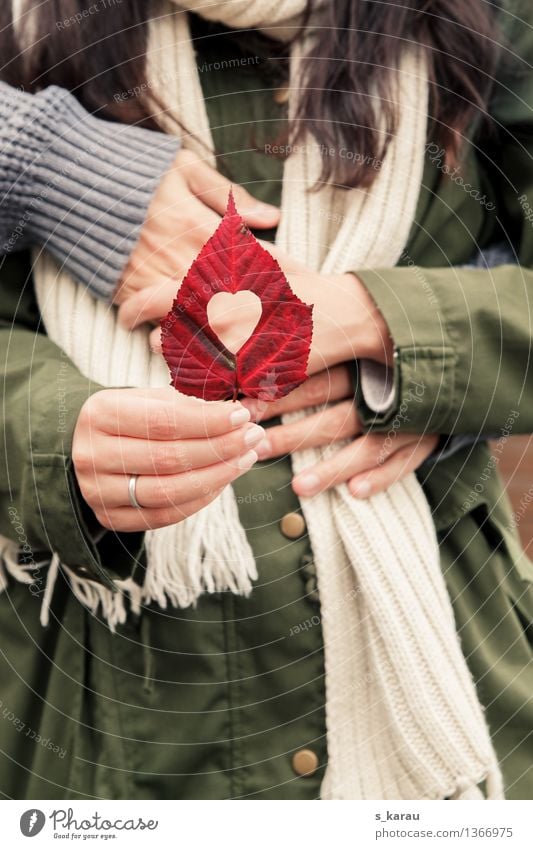 Herbst Mensch maskulin feminin Frau Erwachsene Mann Arme Hand 2 Blatt Pullover Jacke Zeichen Liebe Zusammensein Gefühle Glück Geborgenheit Verliebtheit Treue