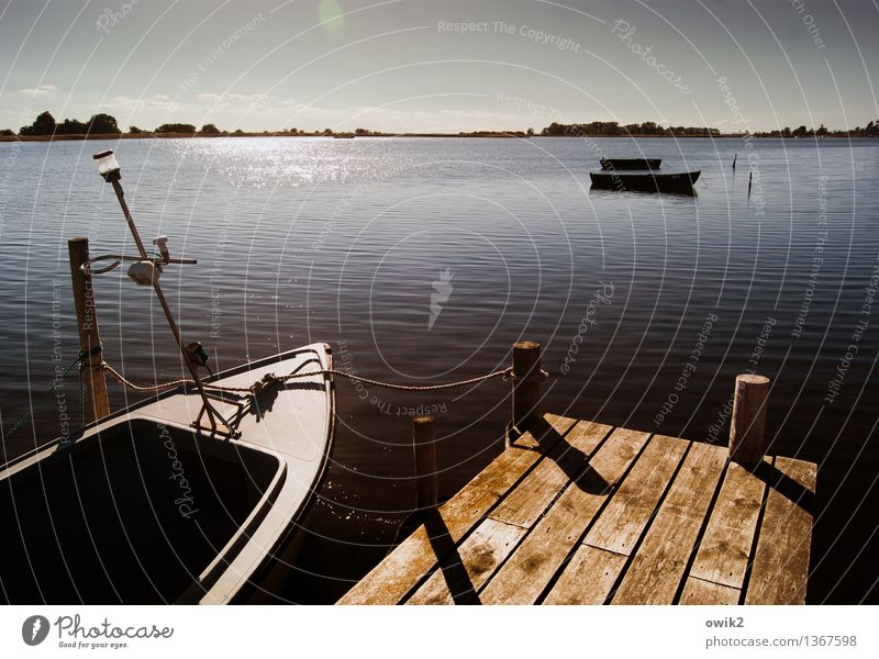 Kleiner Hafen Umwelt Natur Landschaft Wasser Wolkenloser Himmel Horizont Klima Wetter Schönes Wetter Küste Ostsee Ruderboot Seil Steg Anlegestelle Holz glänzend