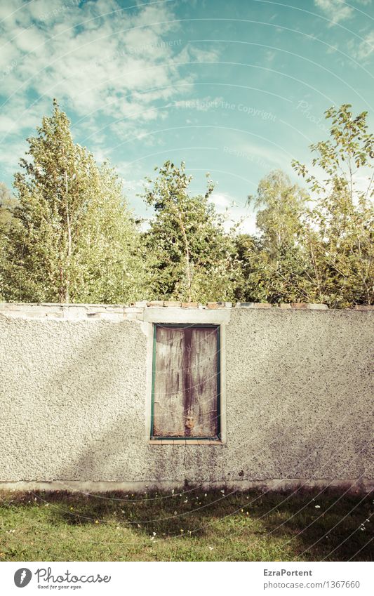 Natur im Haus Häusliches Leben Garten Umwelt Himmel Wolken Sommer Klima Wetter Schönes Wetter Pflanze Baum Gras Bauwerk Gebäude Mauer Wand Fassade Fenster alt