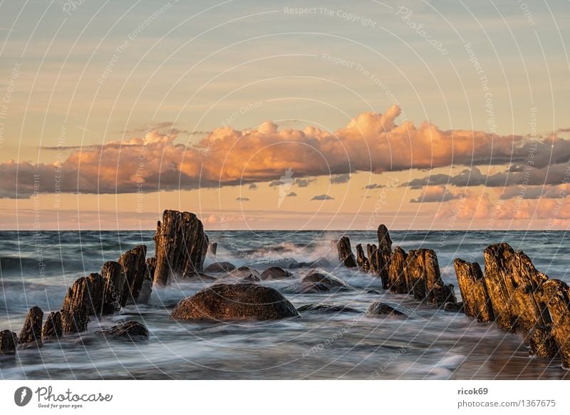 Ostseeküste Erholung Ferien & Urlaub & Reisen Strand Meer Natur Landschaft Wasser Wolken Küste alt Romantik Horizont Idylle ruhig Tourismus Buhne Himmel