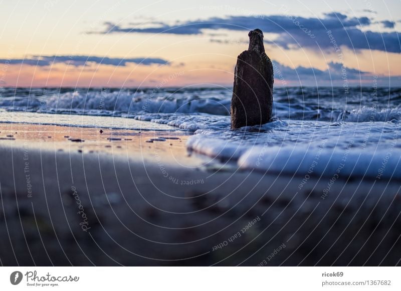 Ostseeküste Erholung Ferien & Urlaub & Reisen Strand Meer Natur Landschaft Wasser Wolken Küste alt Romantik Idylle ruhig Tourismus Buhne Himmel Sonnenuntergang