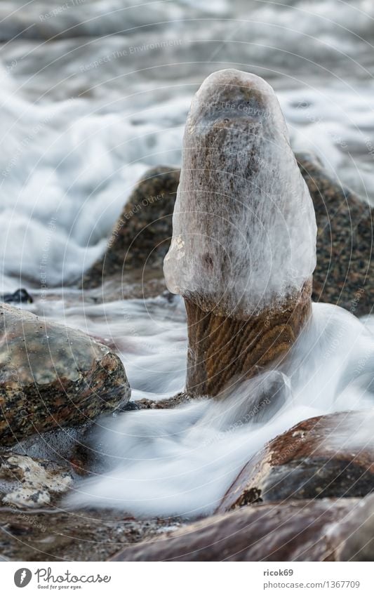 Ostseeküste Erholung Ferien & Urlaub & Reisen Strand Meer Winter Natur Landschaft Wasser Felsen Küste Stein alt kalt Idylle Buhne Steinblock Eis Himmel