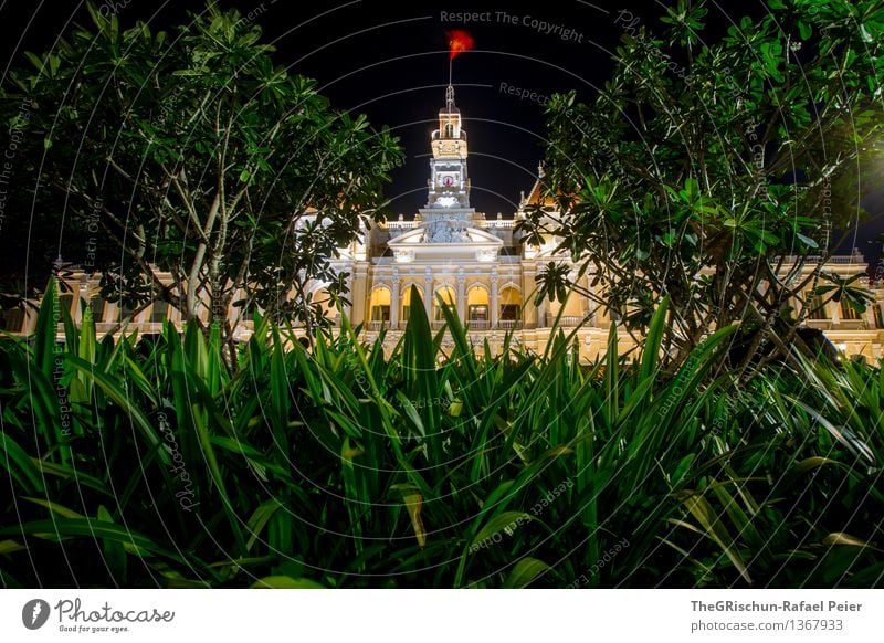 Saigon Stadt Haus gelb grün rot schwarz weiß Kultur Vietnam Gebäude Architektur Baum Sträucher Gras alt Farbfoto Textfreiraum unten Dämmerung Nacht