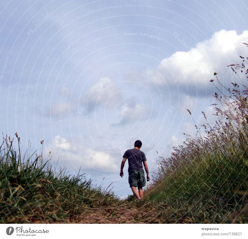 wochenende Sommer Wiese Blume Pflanze Himmel Ferien & Urlaub & Reisen angenehm Physik Feld Wolken Umwelt ökologisch Spaziergang Mann umweltfreundlich Gras