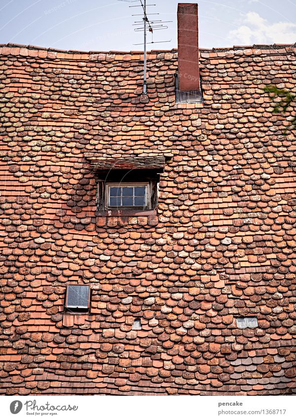 das ding lebt! Himmel Altstadt Haus Burg oder Schloss Gebäude Architektur Fenster Dach Schornstein Sehenswürdigkeit Zeichen historisch einzigartig